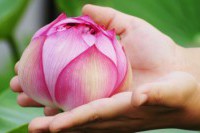 Referral Rewards | Soul Workings