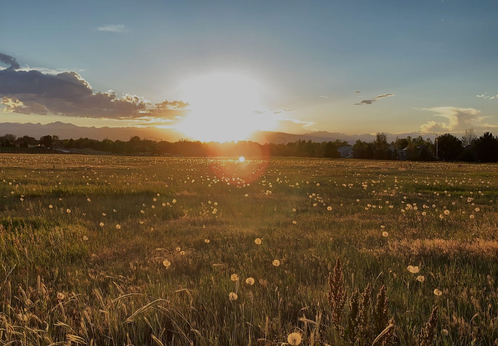 Reiki sessions in Lafayette, CO